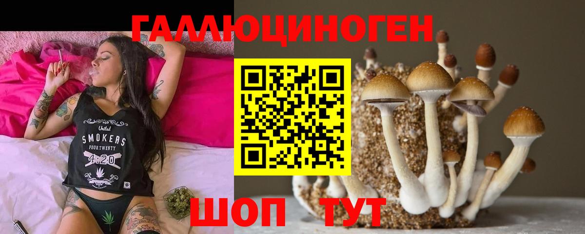 Чебоксары  Псилоцибиновые грибы GOLDEN TEACHER  Вход с VPN 
